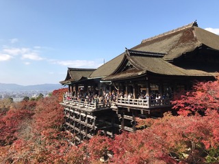 清水寺.jpg