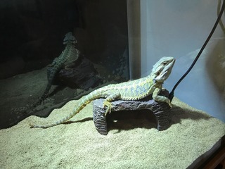 IMG_1500.JPG