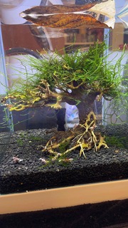 IMG_6804.JPG