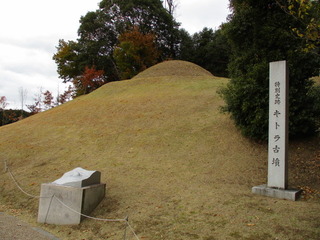 IMG_8883.JPG