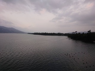 IMG_9329.JPG