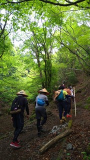 LINE_ALBUM_2022521大峰山_220607_3.jpg